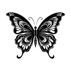 Butterfly silhouette illustration