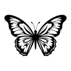 Butterfly silhouette illustration
