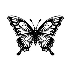 Butterfly silhouette illustration