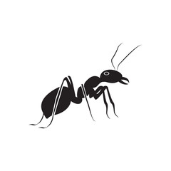 Ant, infestation, insect icon
