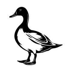 Duck silhouette illustration