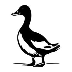 Duck silhouette illustration