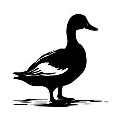 Duck silhouette illustration