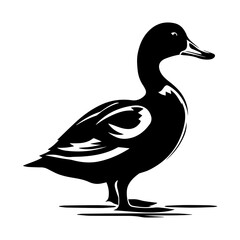 Duck silhouette illustration