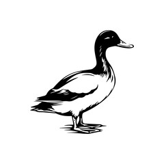 Duck silhouette illustration