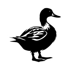 Obraz premium Duck silhouette illustration