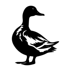 Duck silhouette illustration