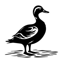 Duck silhouette illustration