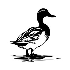 Duck silhouette illustration