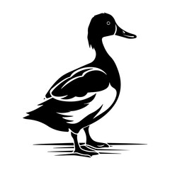 Duck silhouette illustration