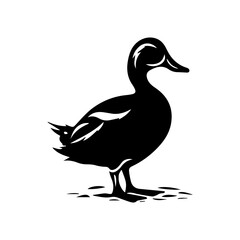 Duck silhouette illustration