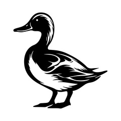 Duck silhouette illustration