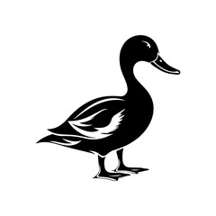 Duck silhouette illustration