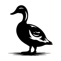 Duck silhouette illustration