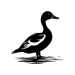 Duck silhouette illustration