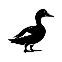 Duck silhouette illustration