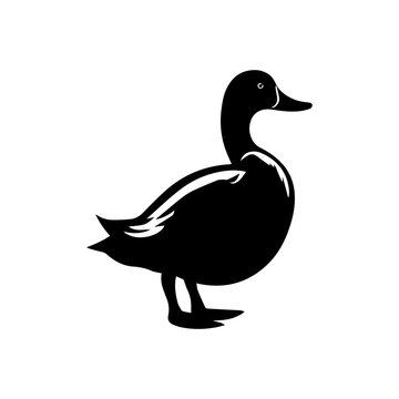 recommend clip art: Duck silhouette illustration