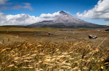 Thin straw in movement, caused by strong winds, at the Cotopaxi National Park, with the Cotopaxi volcano in the background, Ecuador. ND filters were used to capture cloud and straw movement.