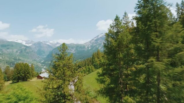 Explore the majestic larch forest in Orci&egrave;res 1850 valley. With FPV drone footage, immerse yourself in the heart of this alpine ecosystem.