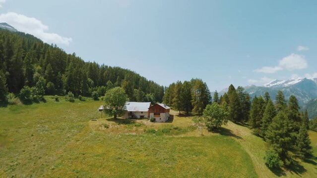 In the springtime mountain beauty through this captivating landscape of a lush forest. Explore the rejuvenating nature, blooming trees, and majestic mountains.