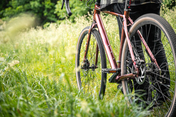 Fototapeta na wymiar A man with a bicycle in the forest among the grass.