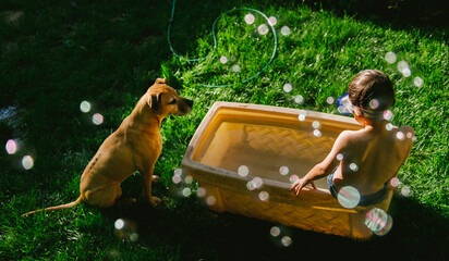 A young boy in a swimsuit and snorkeling mask sits in a container of water in a grassy yard while his dog watches. Bubbles float all around them.