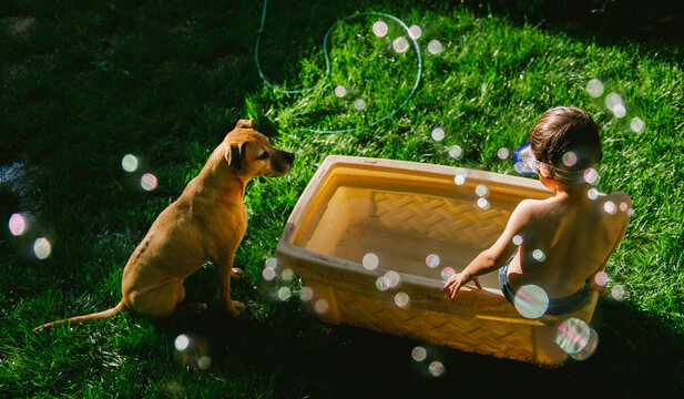 A young boy wearing a snorkel sitting in a tub of water looks at a dog while bubble blow all around