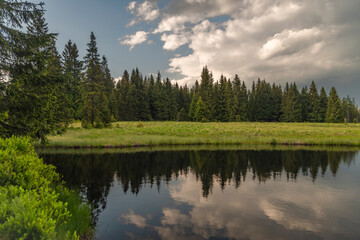 Mrtvy pond in Krusne mountains in north Bohemia in summer evening