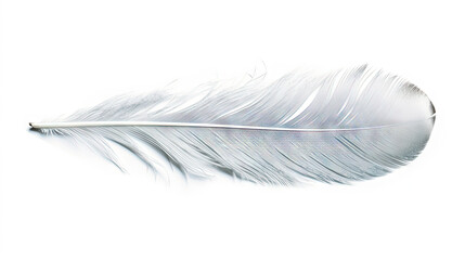 Bird feather on white background. Beautiful bird plumage or wing element, isolated smooth feather. Generated AI.