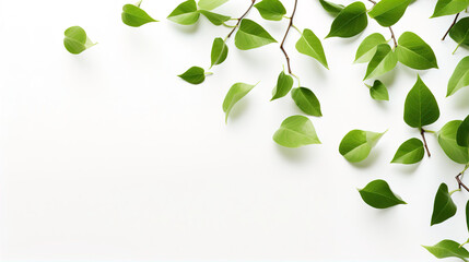 Obraz premium Lush Green Leaves Falling Frame Border Illustration White Background. A.I. Generated.