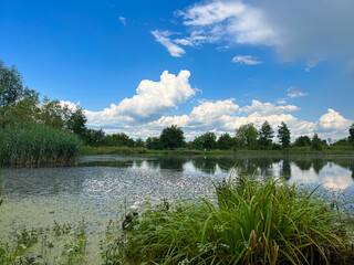 Fototapeta premium A beautiful small lake in the countryside. Sunny day with clouds in the sky. Perfect place for relaxing