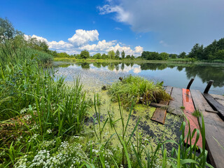 Fototapete bei efototapeten.de bestellen   