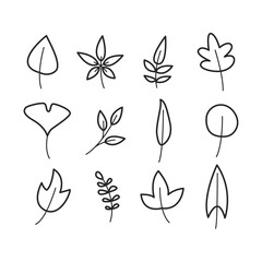 Set of different leaves. Collection of leaf. Black and white vector illustration. Simple line icons.  Set of 12 tree leaves. Leaves for design, banners, logos, print, stickers.