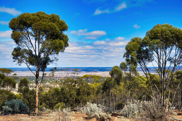 Fototapeta na wymiar Panoramic view from Beacon Hill in Norseman, Western Australia, across the salt lake Lake Cowan and the empty country of the Great Western Woodlands. 