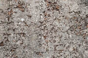 Immerse in nature's masterpiece: a captivating blend of rocks with mesmerizing background textures.