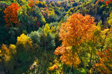 Aerial view of the valley of a National Park in autumn.