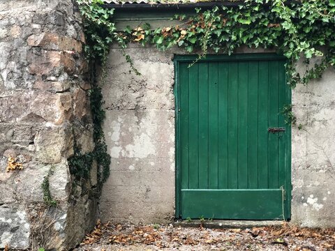 Ireland, Irish, garden, green, door, fence, green door, 