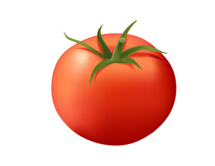 Realistic style whole sweet tasty tomato vegetable with green leaves vector illustration isolated on white background