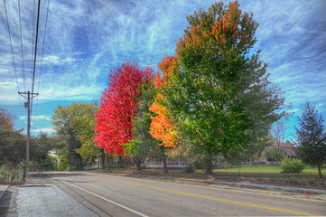 Take Your Pick.  A series of colorful trees in prime autumn foliage along Highway 21, in Caledonia...