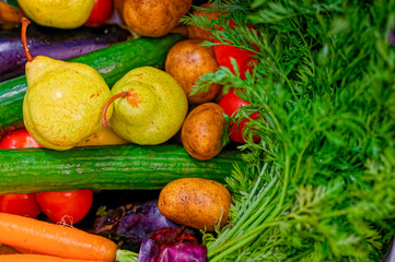 Various fresh ingredients for cooking such as potato, carrot, tomato and cucumber.