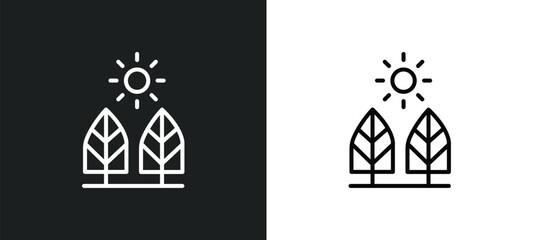 daytime line icon in white and black colors. daytime flat vector icon from daytime collection for web, mobile apps and ui.