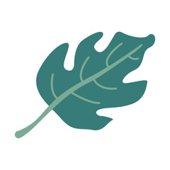 Decorative hand drawn flat floral leaf