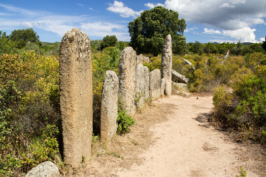 circuit des menhirs 