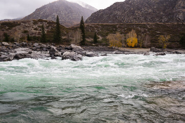 View of river Katun in Altay mountains in the autumn