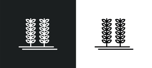 crops line icon in white and black colors. crops flat vector icon from crops collection for web, mobile apps and ui.