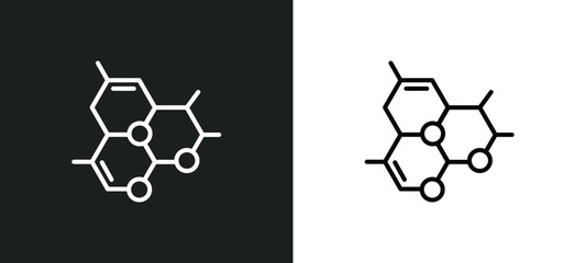 molecules line icon in white and black colors. molecules flat vector icon from molecules collection for web, mobile apps and ui.