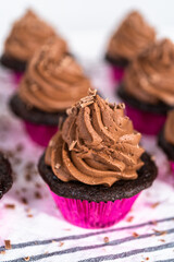 Chocolate ganache cupcake