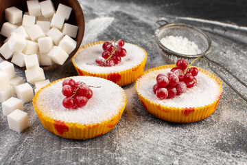 front close view delicious cranberry cakes with red cranberries on top sugar pieces and sugar powder grey background cake biscuit sweet