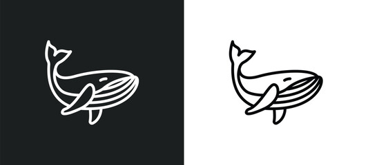 whale line icon in white and black colors. whale flat vector icon from whale collection for web, mobile apps and ui.