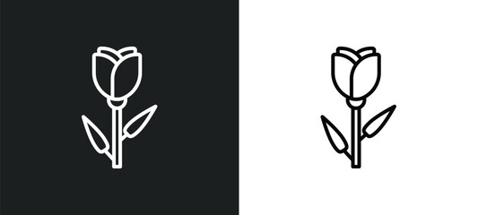 Fototapeta premium tulip line icon in white and black colors. tulip flat vector icon from tulip collection for web, mobile apps and ui.